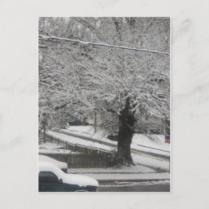 Carte Postale Scène De Neige
