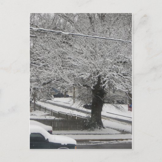 Carte Postale Scène De Neige (Devant)