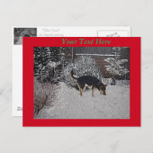 Carte Postale Scène de neige avec un chien noir et feu mignon à (Devant / Derrière)