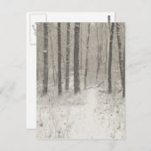 Carte Postale Scène de neige de Sepia (Devant / Derrière)