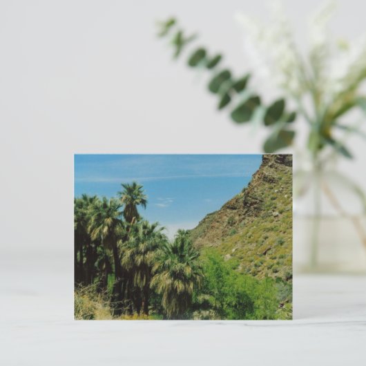 Carte Postale Scène de Palm Springs (Debout devant)