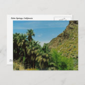 Carte Postale Scène de Palm Springs (Devant / Derrière)