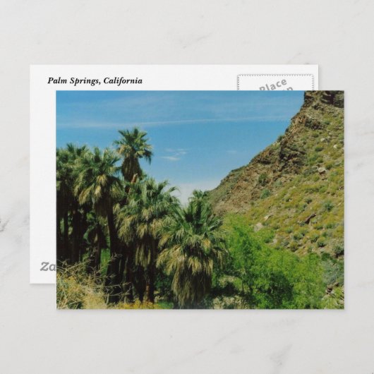Carte Postale Scène de Palm Springs (Devant / Derrière)