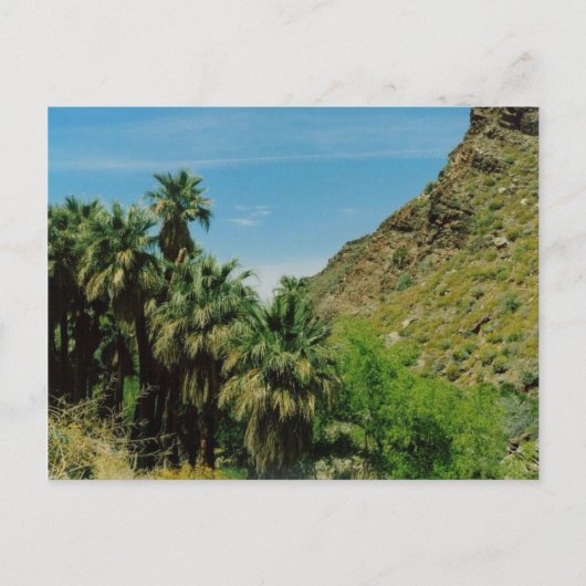 Carte Postale Scène de Palm Springs (Devant)