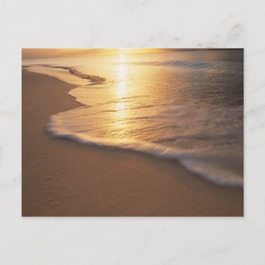 Carte Postale scène de plage (Devant)