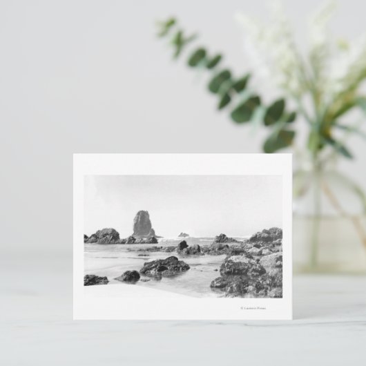 Carte Postale Scène de plage à Cannon Beach, Oregon Photo (Debout devant)