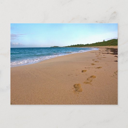 Carte Postale Scène De Plage Tropicale (Devant)