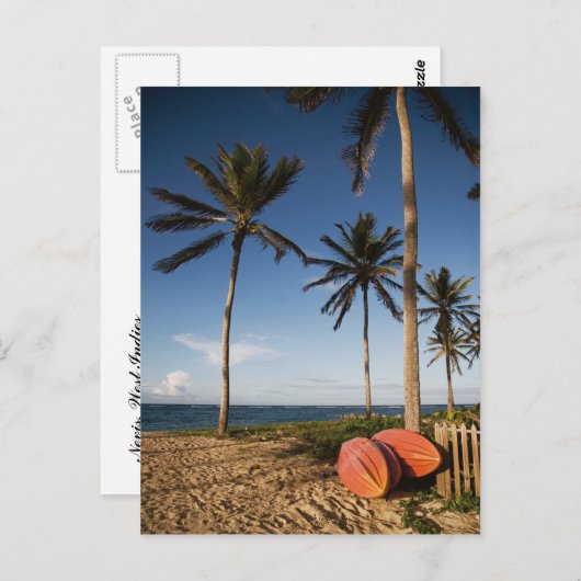 Carte Postale Scène de plage tropicale (Devant / Derrière)