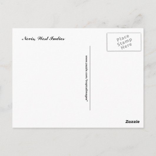 Carte Postale Scène de plage tropicale (Dos)