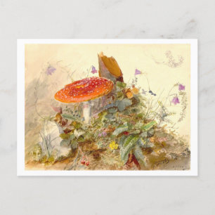 Carte Postale Scène de prairie de champignons vintages