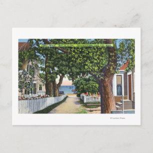 Carte Postale Scène de rue des résidences