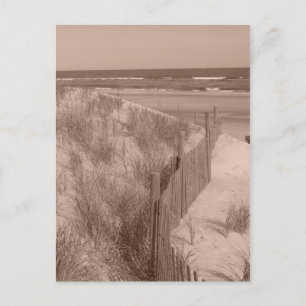 Carte Postale Scène De Sepia Beach