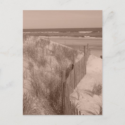 Carte Postale Scène De Sepia Beach (Devant)