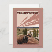 Carte Postale Scène de YellowstoneBison (Devant / Derrière)