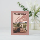 Carte Postale Scène de YellowstoneBison (Debout devant)