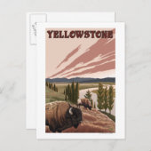Carte Postale Scène de YellowstoneBison (Devant / Derrière)