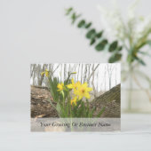 Carte Postale Scène des bois - Daffodils (Debout devant)