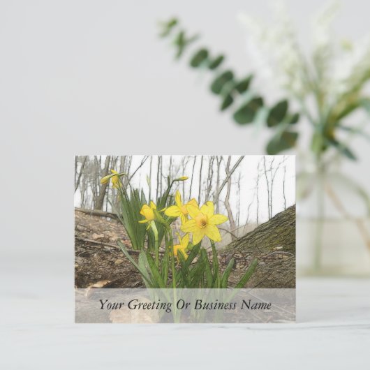 Carte Postale Scène des bois - Daffodils (Debout devant)
