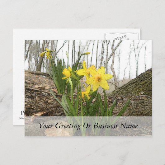 Carte Postale Scène des bois - Daffodils (Devant / Derrière)