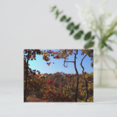 Carte Postale "Scène des feuilles d'automne" (Debout devant)