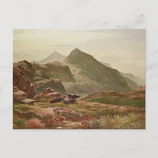 Carte Postale Scène des Highlands (Devant)