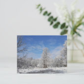 Carte Postale Scène d'hiver du nord-est (Debout devant)