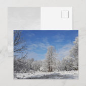 Carte Postale Scène d'hiver du nord-est (Devant / Derrière)