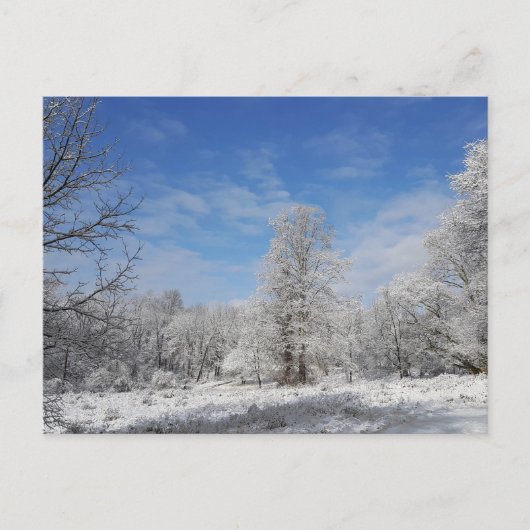 Carte Postale Scène d'hiver du nord-est (Devant)