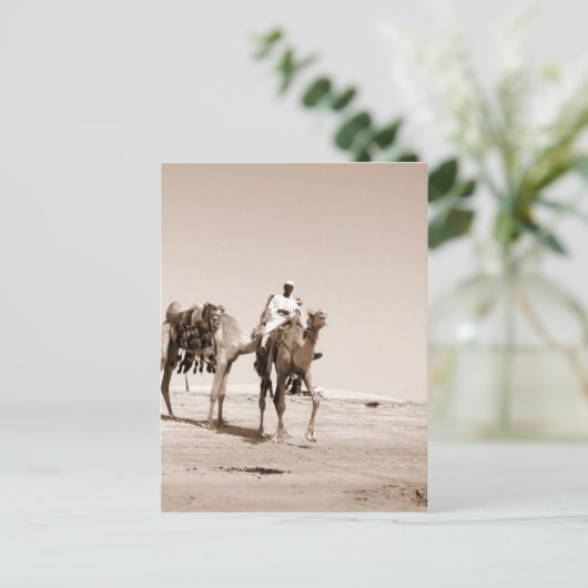 Carte Postale Scène du désert (Debout devant)
