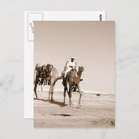 Carte Postale Scène du désert (Devant / Derrière)