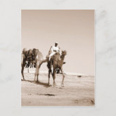 Carte Postale Scène du désert (Devant)