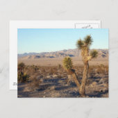 Carte Postale Scène du désert de Mojave 01 (Devant / Derrière)