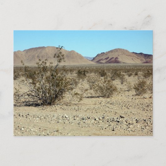 Carte Postale Scène du désert de Mojave 02 (Devant)