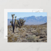Carte Postale Scène du désert de Mojave 03 (Devant / Derrière)