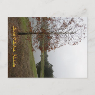 Carte Postale Scène du lac O"Lakes