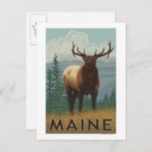 Carte Postale Scène du MaineElk (Devant / Derrière)