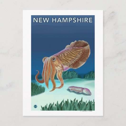 Carte Postale Scène du New HampshireCuttlefish (Devant)