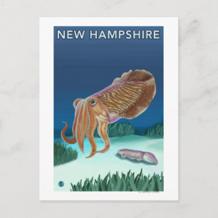 Carte Postale Scène du New HampshireCuttlefish
