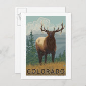 Carte Postale Scène Elk Colorado (Devant / Derrière)
