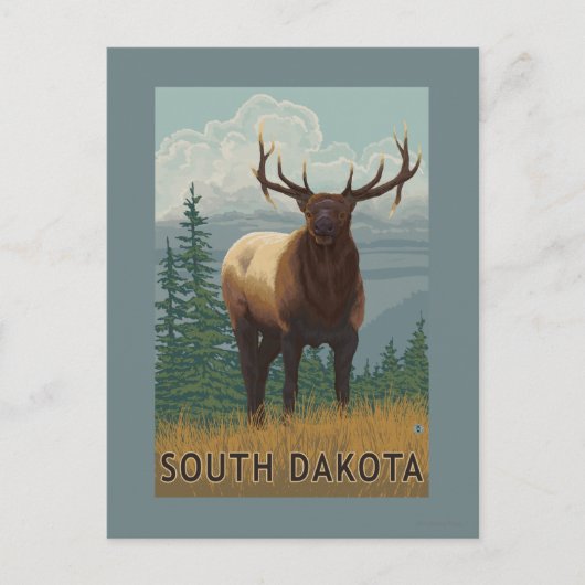 Carte Postale Scène Elk Dakota du Sud (Devant)