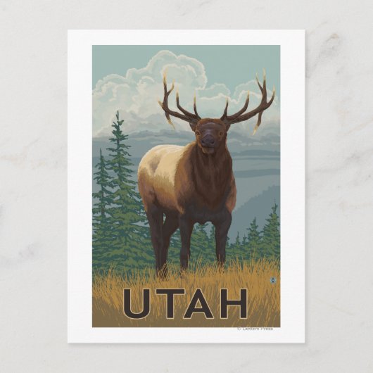 Carte Postale Scène Elk Utah (Devant)