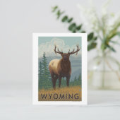 Carte Postale Scène ElkWyoming (Debout devant)