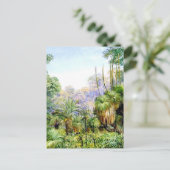 Carte Postale Scène forestière en Australie occidentale, (Debout devant)