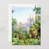 Carte Postale Scène forestière en Australie occidentale, (Devant / Derrière)