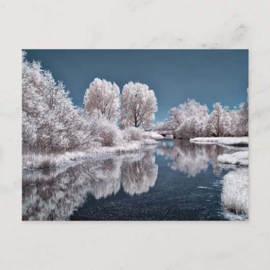 Carte Postale Scène hivernale (Devant)