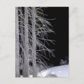 Carte Postale Scène hivernale (Devant)