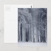 Carte Postale Scène hivernale (Devant / Derrière)