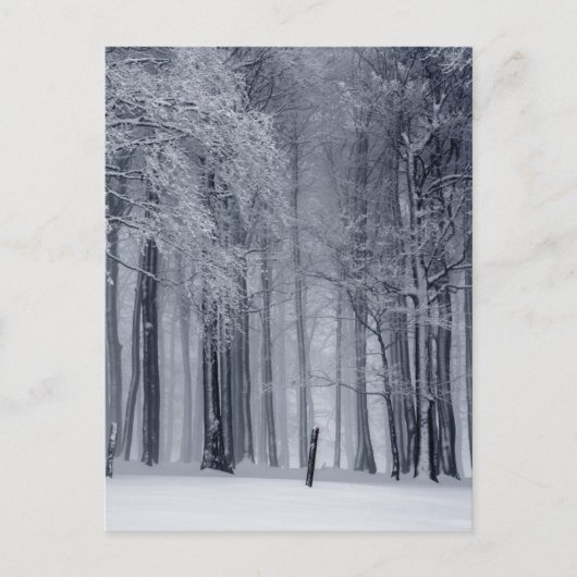 Carte Postale Scène hivernale (Devant)