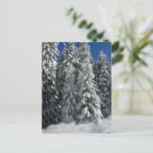 Carte Postale Scène hivernale (Debout devant)