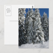 Carte Postale Scène hivernale (Devant / Derrière)